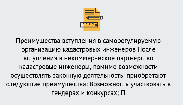 Почему нужно обратиться к нам? Туймазы Что дает допуск СРО кадастровых инженеров?