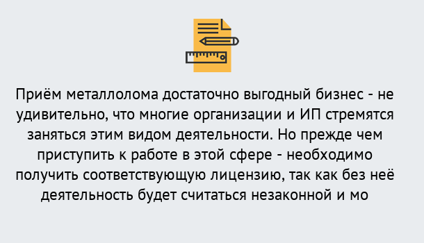 Почему нужно обратиться к нам? Туймазы Лицензия на металлолом. Порядок получения лицензии. В Туймазы