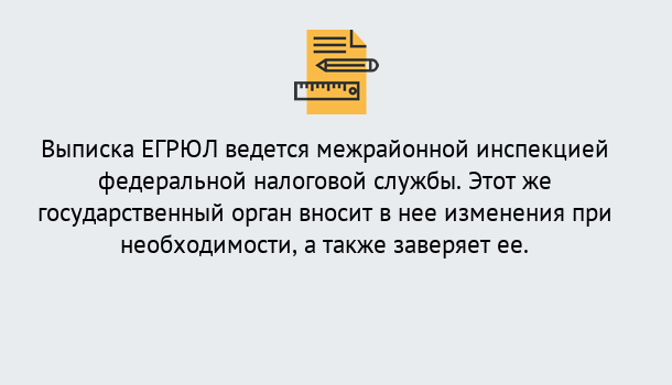 Почему нужно обратиться к нам? Туймазы Выписка ЕГРЮЛ в Туймазы ?