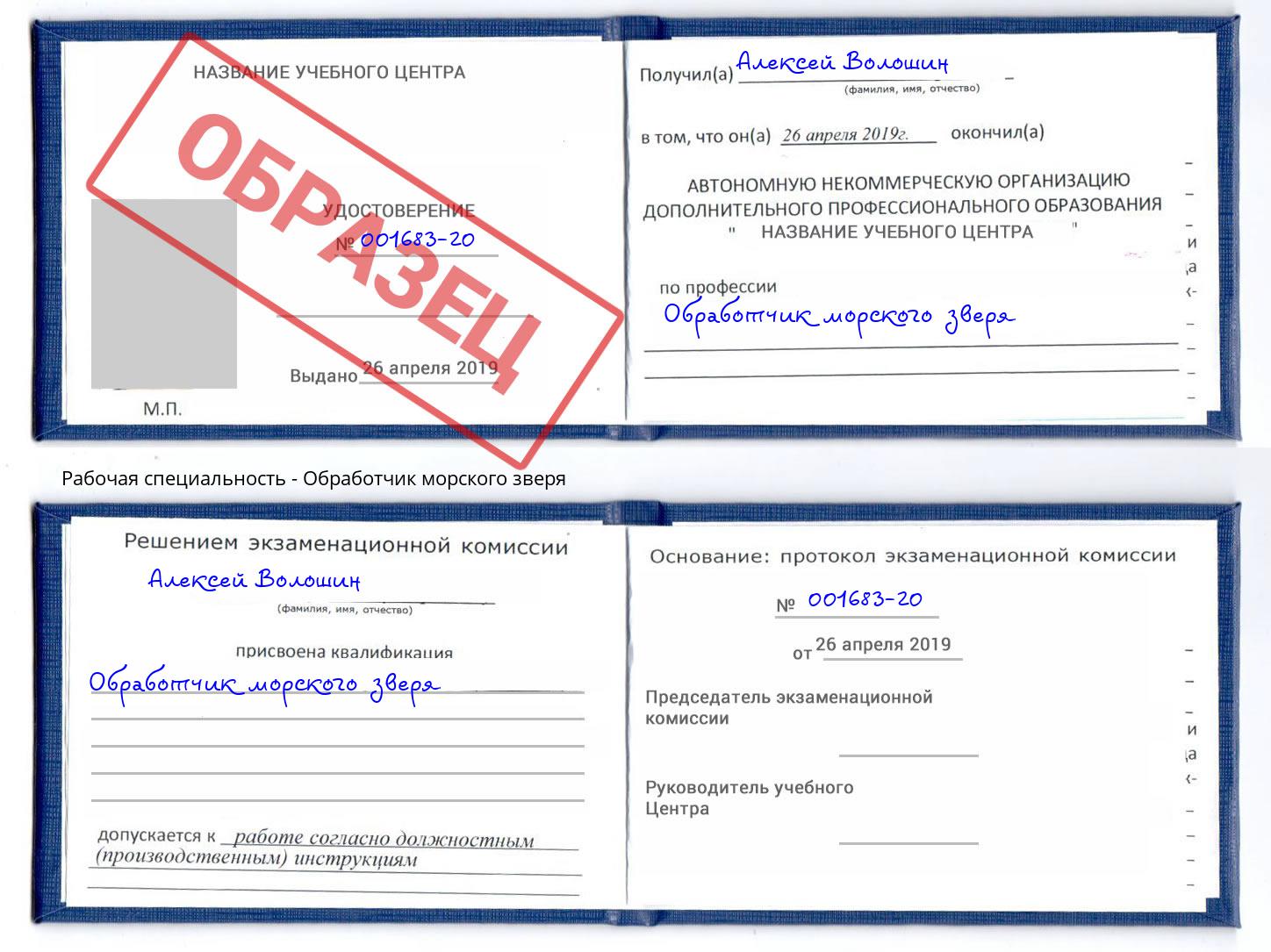 Обработчик морского зверя Туймазы