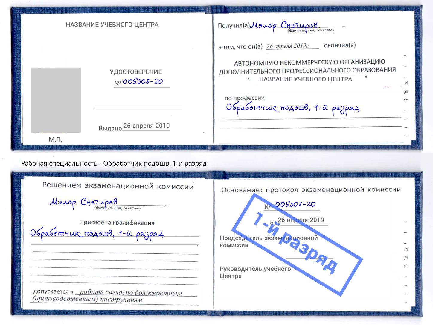 корочка 1-й разряд Обработчик подошв Туймазы
