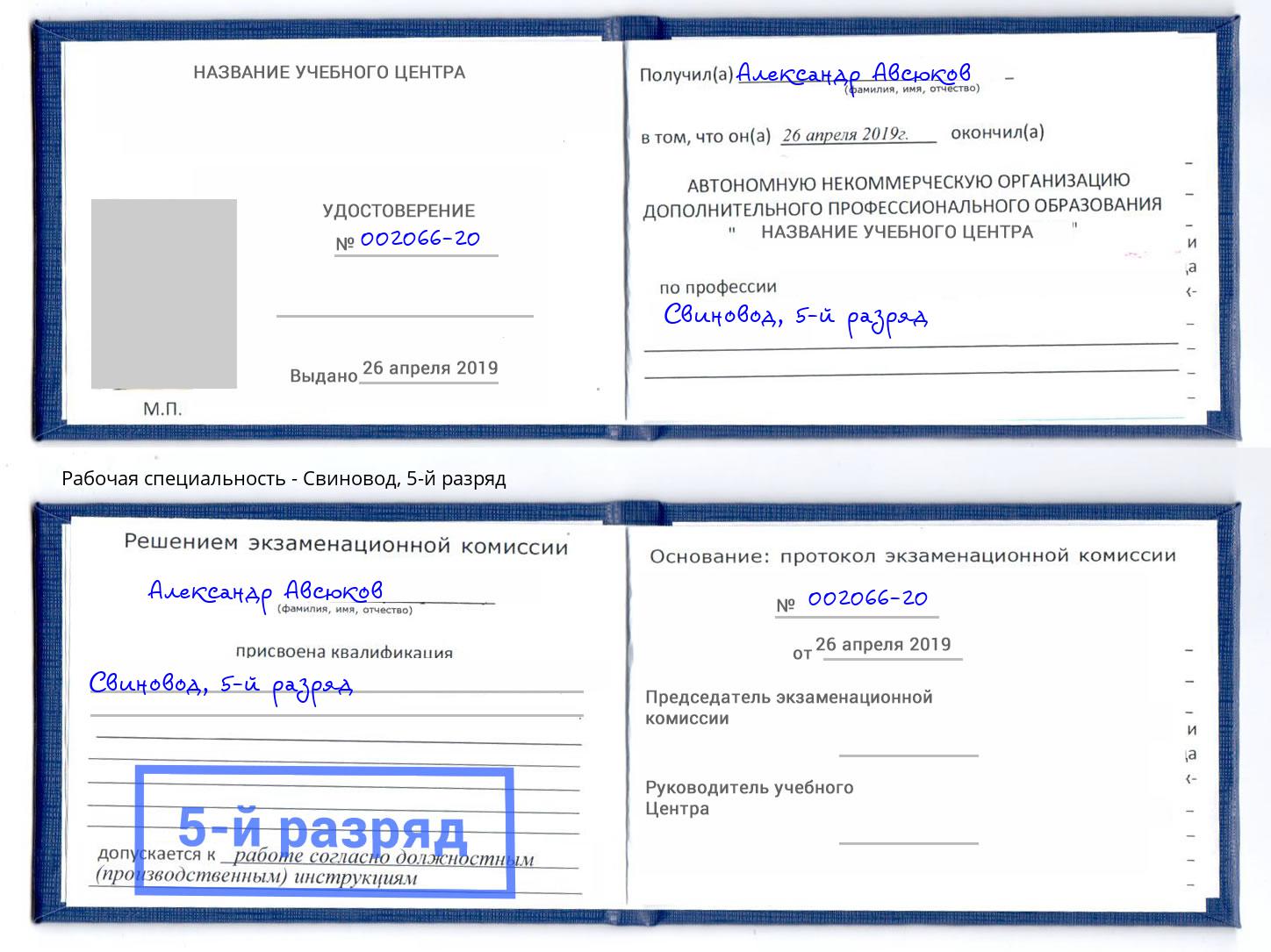корочка 5-й разряд Свиновод Туймазы